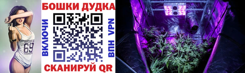 Купить закладки  Северобайкальск  Шишки марихуана индика 